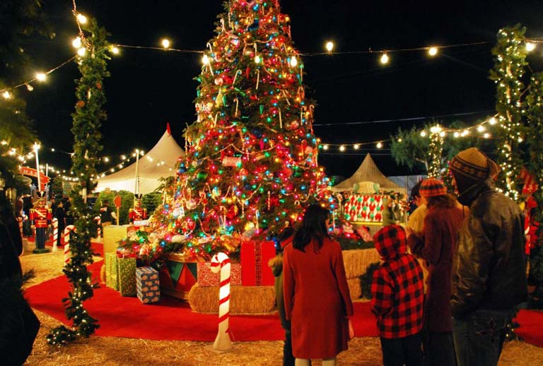 Yılbaşı Kutlaması